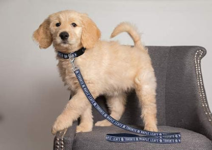 Pets First NHL Toronto Maple Leafs Leash for Dogs & Cats, Medium. - Walk Cute & Stylish! The Ultimate Hockey Fan Leash!, Medium (4 ft Long x 0.62 in Width) (TOR-3031-MD)