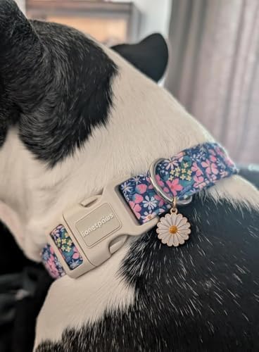 Lionet Paws Floral Dog Collar- Cute Spring Wildflowers Daisy Fleabane Dog Collars with Plastic Buckle,Light Adjustable Dog Collars for Small Dogs