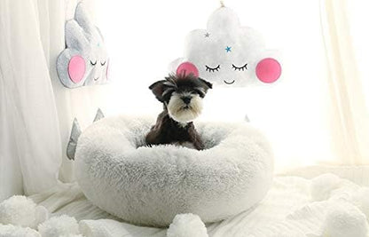 Cat Bed for Indoor Cats,Mini Plush Self Warming Kitten Bed, 20 Inch
