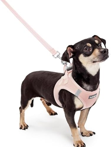 rabbitgoo Dog Harness Small Sized and Leash Set, Step-in Puppy Pet Vest