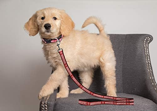 NCAA PET String, Medium, Indiana Hoosiers, Dog String, Shiny & Colorful String for Dogs & Cats Licensed by The NCAA, Old Version