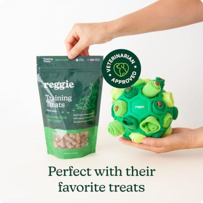 Reggie Snuffle Ball for Dogs | Interactive Treat Dispensing Dog Enrichment Toys | Reduces Boredom, Stress & Hyperactivity | Snuffle Toys for Dogs | Durable & Washable Dog Puzzle Toy I Green