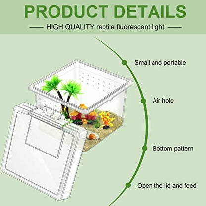 20 Pcs Insect Spider Terrariums Breeding Box Small Reptile Hatching Container Transparent Cricket Keeper Breeder Box Feeding Spider Cage with Lid for Scorpion Gecko Tortoise Centipede Tarantula