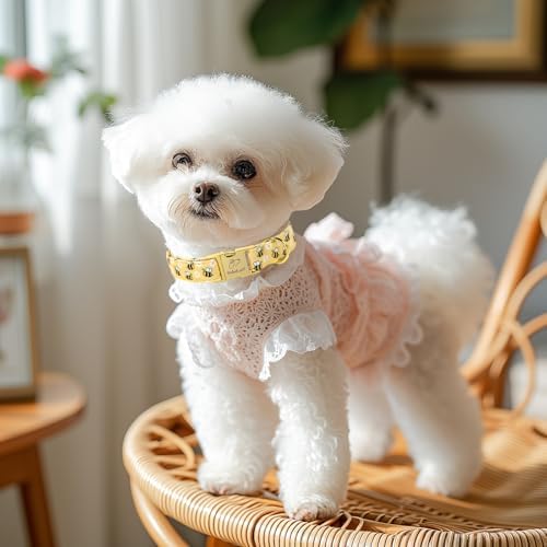 Yellow Bee Dog Collar, Cute Spring/Summer Cartoon Boy Girl Dog Collars, Adjustable Heavy Duty Male Female Dogs Collar for Small Medium Large Dogs with Metal Buckle XL