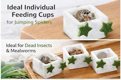 3 Pcs Magnetic Jumping Spider Feeding Dish Jumping Spider Enclosure Accessories Star-Shaped Design Reptile Water Bowl for Other Small Reptiles or Insects