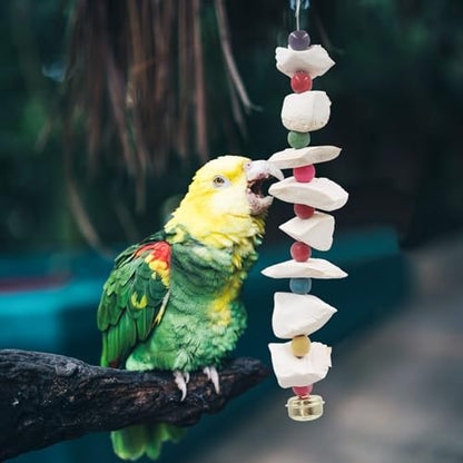 2 Pack Bird Toys with Cuttlebone, Parakeet Toys, Bird Beak Grinding Stone, Cage Accessories for Parakeets, Cuttlefish Bone for Budgies, Cockatiels, Lovebirds, Green Cheeks, Small to Medium Birds