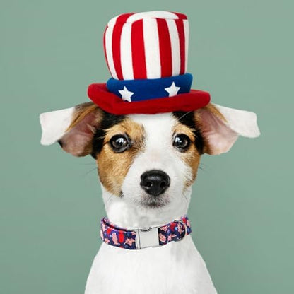 Independence Day Dog Collar, Summer American Flag Durable Metal Boy Dog Collars Adjustable Pet Collar for Small Medium Large Dogs