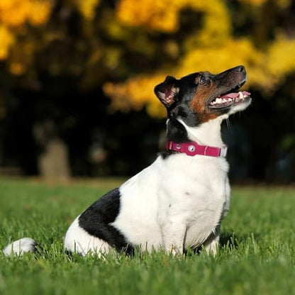 AirTag Dog Collar for Small Medium Large Breed - Adjustable Cute Pattern Dog Collar with Airtag Holder - Soft Leather Tracker GPS Apple Air Tag Pet Collars (Small, 12"-15" Neck Fit, Striped)