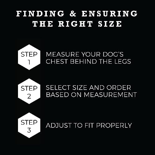 Wolfgang Heavy Duty Adjustable Dog Harness, Pull-Tested to Over 800 lbs for Walking & Training, DarkSkies Print, Small