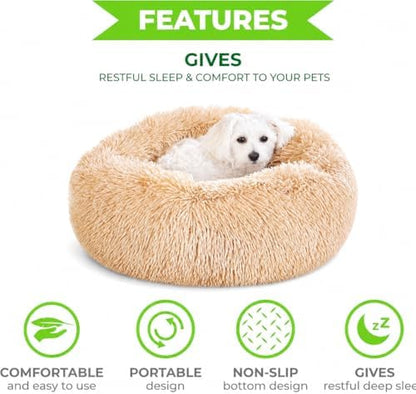 Whiskers & Friends Cat Beds for Indoor Cats & Small Dog, Fluffy Cat Bed