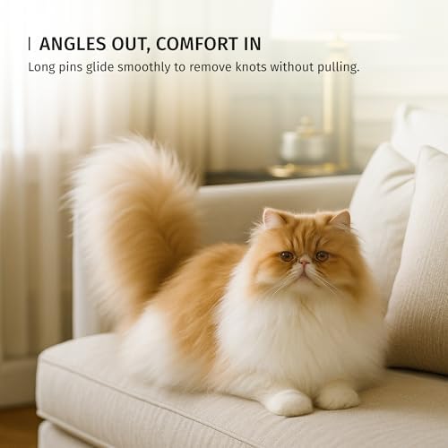 Since 1869 Hand Made In Germany - SHASH Oval Pet Brush With Long Metal Pins With Rubber Cushion - Helps Detangle Knots, Eliminate Frizz, Reduce Pulling & Snagging