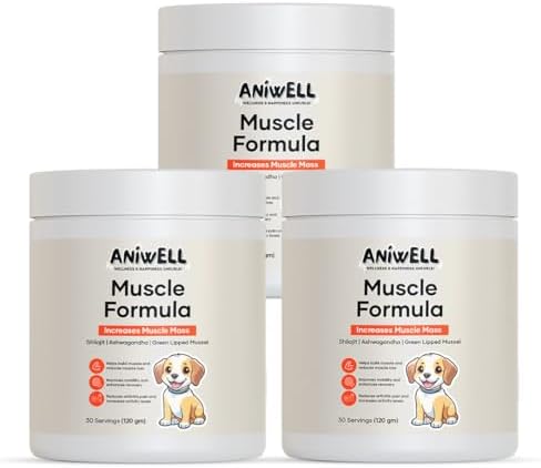 Muscle Formula for Dogs – Glucosamine Chondroitin, Green Lipped Mussel | Shilajit, Ashwagandha | Hip and Joint Supplement for Dogs Muscle Strength & Mobility | Dog Joint Supplement | Pack of 3