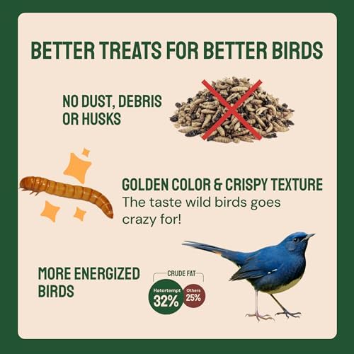 Hatortempt 2lb Dried Mealworms for Wild Birds & Chickens, Wild Bird Food