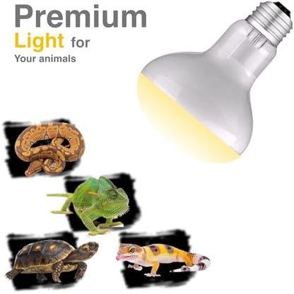 Reptile Heat Bulb Lamp, 1-Pack 100W Daylight Basking Spot, Bearded Dragon/Turtle/Lzard/Gecko Light Bulb, UVA Heat Lamp, Basking Light for Reptiles