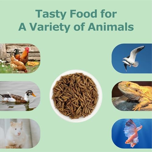 WORMSKING 5LB Dried Black Soldier Fly Larvae for Chickens