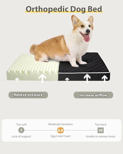 NUPIDA Orthopedic Large Dog Bed for Crate with Washable Cover, 35x22, Black