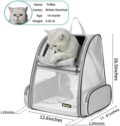 Texsens Innovative Traveler Bubble Backpack Pet Carriers for Cats and Dogs