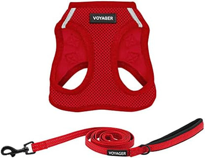 Best Pet Supplies Voyager Step-in Air All Weather Mesh Harness and Reflective Dog 5ft Leash Combo with Neoprene Handle, for Small, Medium and Large Breed Puppies - Red, X-Small
