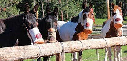 Outfitters Supply Classic Canvas & Leather Horse or Mule Feedbag, Handmade in Montana USA Leather, Adjustable Strap, Solid Leather Bottom with Leather Side Ventilation
