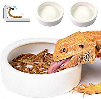 Reptile Food Dish Bowl 2Pcs Lizard Gecko Worm Water Bowls Small (2.75in)