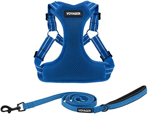 Best Pet Supplies Voyager Adjustable Step-in Flex Breathable Mesh Dog Harness for Small Medium Large Dogs Leash Set (Royal Blue), S
