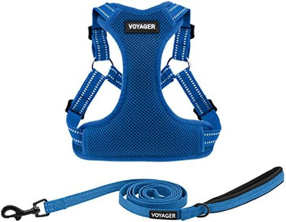 Best Pet Supplies Voyager Adjustable Step-in Flex Breathable Mesh Dog Harness for Small Medium Large Dogs Leash Set (Royal Blue), XL