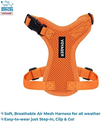 Best Pet Supplies Voyager Step-in Lock Pet Harness w Reflective Pet Leash Combo Set with Neoprene Handle 5ft - Supports Small, Medium and Large Breed Puppies/Cats - Orange, XXS