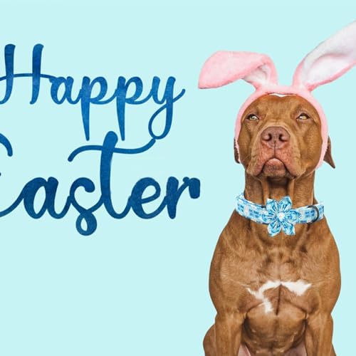 Dog Collar - Easter Day Dog Collars with Flower for Dogs Flowers Bunny Print Adjustable Girl Pet Gift Collar for Medium Small Large Dogs