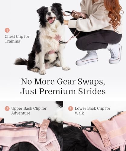 Fei & Eve Classic Dog Harness