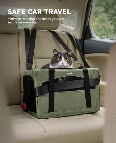 Pecute Cat Carrier Stable, Pet Carrier with Privacy Partition,Green