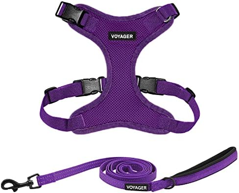 Best Pet Supplies Voyager Step-in Lock Pet Harness w Reflective Pet Leash Combo Set with Neoprene Handle 5ft - Supports Small, Medium and Large Breed Puppies/Cats - Purple, XL