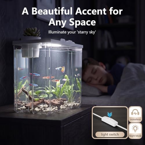 2 Gallon Betta Fish Tank Aquarium Starter Kit with Light and Lid(White)