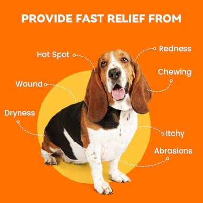 PUAINTA Dog Hot Spot Spray for Itch Relief - Quantum Silver Pet Skin Care