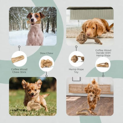 Natural Coffee Wood Slow Chew Dog Toys, 4 Pack, S-M