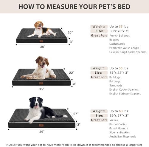 WNPETHOME Orthopedic Waterproof Large Sized Senior Dogs Bed for Comfy Sleep