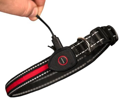 Sherry Kline LED Light-Up Pet Collar - USB Rechargeable - Flashing Glow in The Dark Size Small, Color: Red