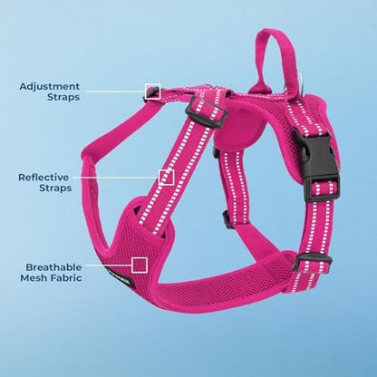 Air Frontier Mesh Dog Harness with Steel Leash D-Ring, Reflective Stitching, and Lightweight Breathable No-Pull Design, Adjustable Neck and Chest Straps for Small to Large Breeds - FSW, S
