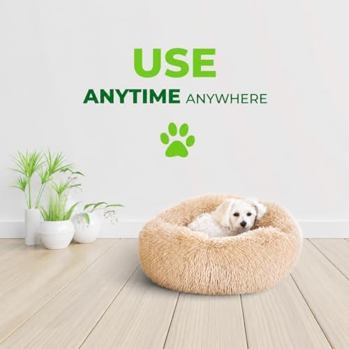 Whiskers & Friends Cat Beds for Indoor Cats & Small Dog, Fluffy Cat Bed