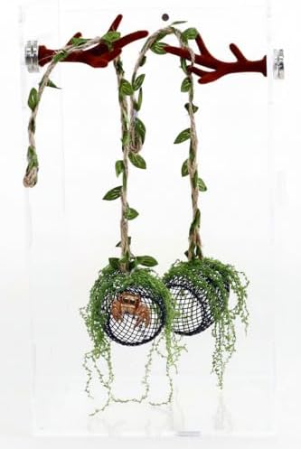 5Pcs Jumping Spider Enclosure Accessories with Hammock, Magnetic Climbing Rope, Resting Ledge Platforms and Feeding Dish Bowl & Hook for Terrarium Habitat (Two Hammocks)