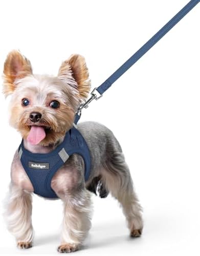 rabbitgoo Dog Harness Small Sized and Leash Set, Step-in Puppy Pet Vest
