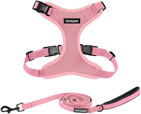 Best Pet Supplies Voyager Step-in Lock Pet Harness w Reflective Pet Leash Combo Set with Neoprene Handle 5ft - Supports Small, Medium and Large Breed Puppies/Cats - Pink Set, XS