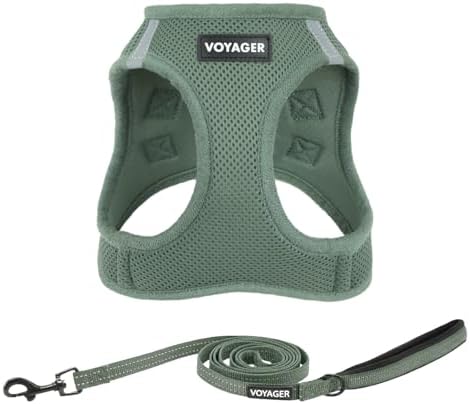 Best Pet Supplies Voyager Step-in Air All Weather Mesh Harness and Reflective Dog 5ft Leash Combo with Neoprene Handle, for Small, Medium and Large Breed Puppies - Moss Green, Medium