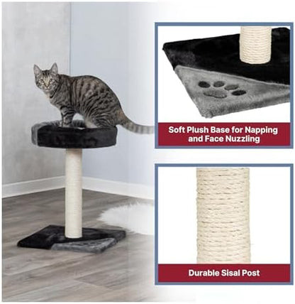TRIXIE Tarifa 20.5-in Kitten Cat Tree with Sisal Post, Gray/Black