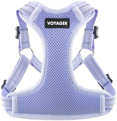 Voyager Step-in Flex Adjustable Dog Harness - Lavender, Small