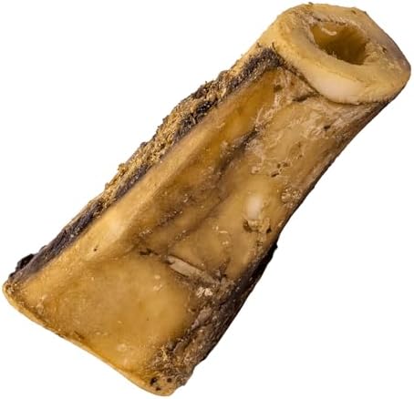NATURE'S LOGIC Beef Hind Shank Bone - 7-8" Long Recreational Dog Chew