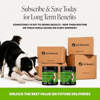 Pet Honesty Grass Green Dog Urine Neutralizer for Lawn, Duck, 90ct