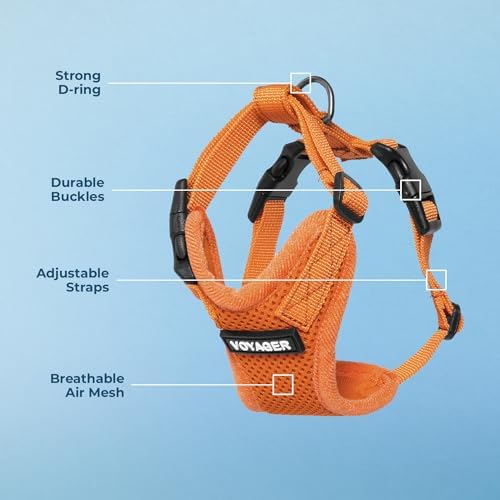 Voyager Step-in Lock Dog Harness - Orange, Large