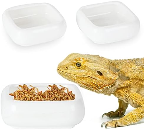 Ceramic Reptile Food Bowls, Reptile Water Food Dish (White, Large-2Pack)