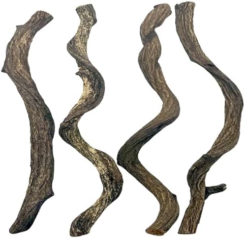 BNOSDM Reptile Forest Climbing Branch Decor 4PCS Crested Gecko Climb Wood Natural Branches Tree for Snake Frog Chameleon Spider Bearded Dragon Terrarium Habitat Tank Accessories