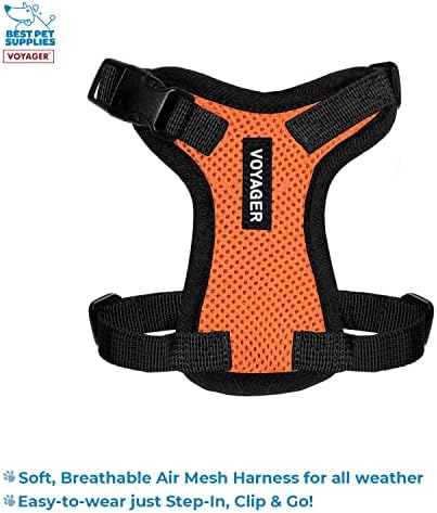 Best Pet Supplies Voyager Step-in Lock Pet Harness w Reflective Pet Leash Combo Set with Neoprene Handle 5ft - Supports Small, Medium and Large Breed Puppies/Cats - Orange/Black Trim, XXXS